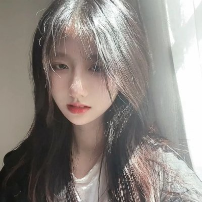 麒麟之翼