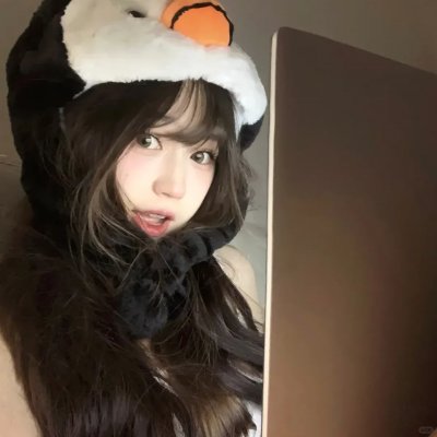 雪豹和她的朋友们