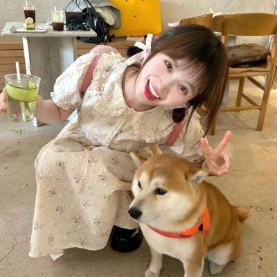 妃子笑